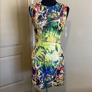 NWT Hesperus Floral Multicolor Sleeveless Body-con Dress